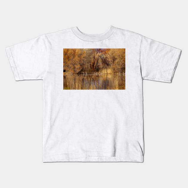 Autumn Relections Kids T-Shirt by VKPelham